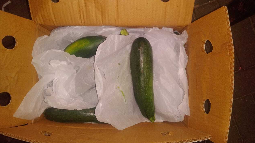 Fresh cucumbers packed for perishable air cargo export